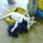 Martíncoker 12 - @martincoker12 - Instagram