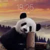martincompton795 - @martincompton795 - TikTok
