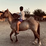martin_ cordero - @martin_cordero_973 - Instagram