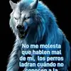 Martin Cordero - @martin.cordero641 - TikTok