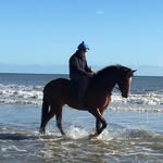 Martin Corrigan - @martin.corrigan.5 - Instagram