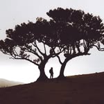 Martin Corrigan 📍 Insel Rügen - @na_gehtso - Instagram
