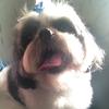 smarty marty - @martincorrigan57 - TikTok