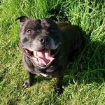 Martin Coyle - @martin.coyle.79 - Instagram