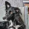 Martin Coyle - @martin.coyle8 - TikTok