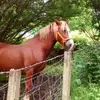 Martina Coyle - @martina.coyle - TikTok