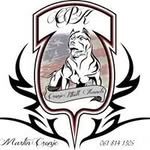 Martin Cronje - @martin.cronje - Instagram