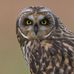 Marty Crossman - Facebook