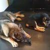 Martin Crouch - @dance.twins1010 - TikTok