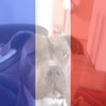 Martin Crump - @crumpytattoo500 - Instagram