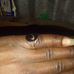 Martin Dele - Facebook