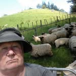 Martin Devine - @marti_ndevine - Instagram