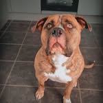 Martin devine - @smarty_marty8 - Instagram