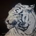Martin Dewar Artist - Facebook