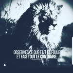 de witte martin - @martindewitte9 - Instagram