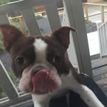 Martin McFly DeWitt - @austinmarty_theboston - Instagram