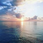 Amal Dockery-Martin - @amaldockerymartin - Instagram