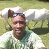 Martin Dodson - @martin.dodson3 - TikTok