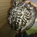 Martin Doerr - Facebook