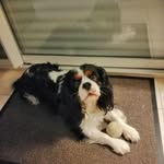 Dorey Martine - @martine.dorey - Instagram