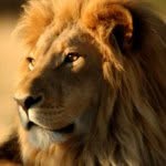 Martin Dowdall - @mdowdall - Instagram