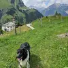 Martin Drexler - @martin.drexler2 - TikTok