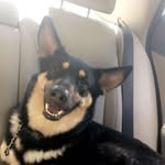 Martiniiiii - @martini.lily.drexler - Instagram