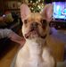 Martin Earle - Facebook