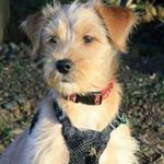 Martin Edmonds - @edmondsmartin - Instagram