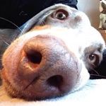 Martin Edmondson - @martin.edmondson78 - Instagram