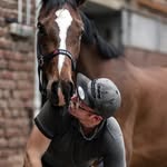 Hufbeschlag  Martin Eggert - @farrier_martin - Instagram