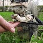 Martin Eichler - @thumbraider1 - Instagram