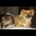 Martina Eilers - @martina.eilers.3 - Instagram