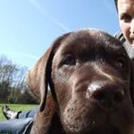 Martin Ernst - @martinernst_axa - Instagram
