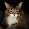 Martin Ferrell278 - @martinferrell1 - TikTok