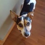 Ferris Martin - @ferris.martin.77 - Instagram