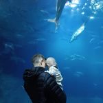 Martin Ferris - @martin.ferris85 - Instagram