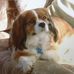 Martin Flack - Facebook
