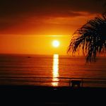 Martin Flack - @mmnflack - Instagram