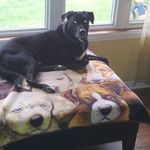 Martin Fleury - @martin.fleury.5203 - Instagram