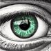 Martin Flink - Facebook