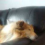 Martin Floyd - @martinfloyd1212 - Instagram