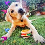 Martin Floyd - @martin.floyd.52 - Instagram