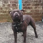 Martin Fraser - @martin.fraser.142 - Instagram