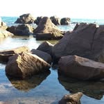 martin galvin - @galvin_martin - Instagram