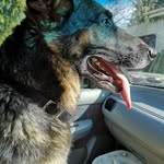 Martin galvin - @galvin9475 - Instagram