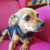 Martin Garner - Facebook