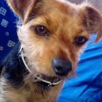 Martin Garner - @martin.garner.503 - Instagram