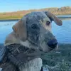Garrett - @garrett..martin - TikTok