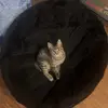 Garrett - @garrett.martinnn - TikTok